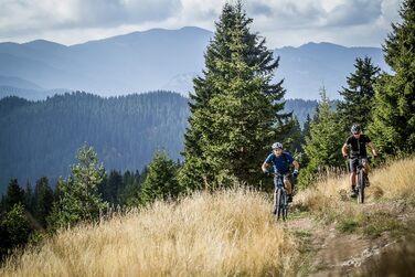 Гірський велосипед SPRINT Hunter 29 дюймів, 21 швидкість, для чоловіків, жінок і підлітків, зріст 170-183 см