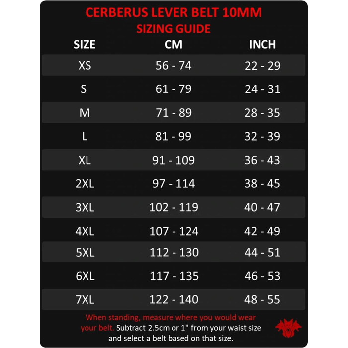 Пояс для важкої атлетики CERBERUS Strength Classic, 10 мм, шкіряний