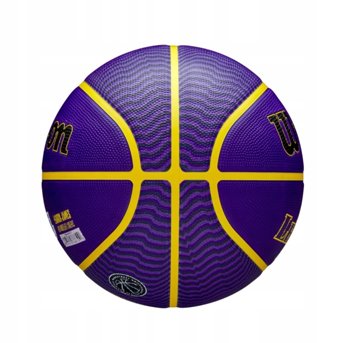 Баскетбольний м'яч Wilson WZ4027601XB, розмір 7