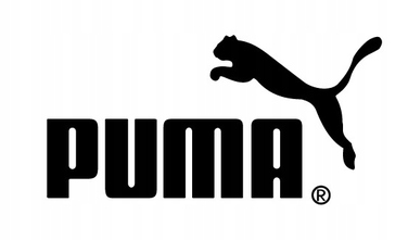 Чоловічі спортивні кросівки Puma Disperse XT2 для тренувань 379985 03, р. 42