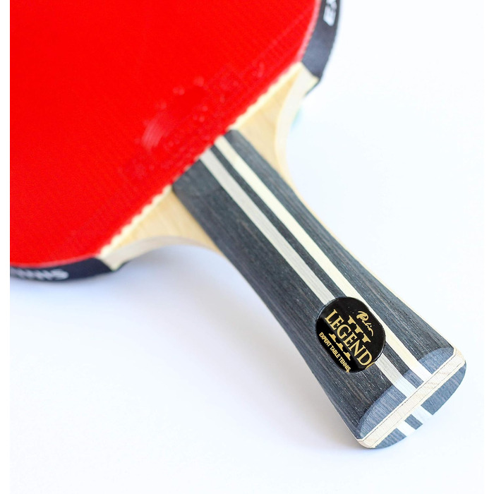 Набір тенісних столів Palio Legend 3.0 з чохлом | ITTF-сертифікований професійний пінг-понговий набір | Максимальна потужність, швидкість та обертання (2 ракетки)