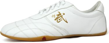 VIBLiSS Кросівки для бойових мистецтв, неслизькі Taekwondo, Kung Fu, Taichi. Легкі китайські кросівки для жінок (40 EU, White)