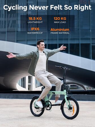 Електровелосипед ENGWE P20 з додатком, складаний, 36В 9.6А·год, до 100 км, 250Вт, 25 км/год, ремінний привід, 42Нм, 3 режими PAS, для міста