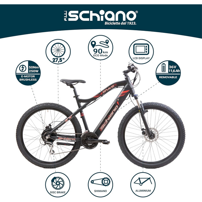 Електровелосипед F.lli Schiano Braver 27.5