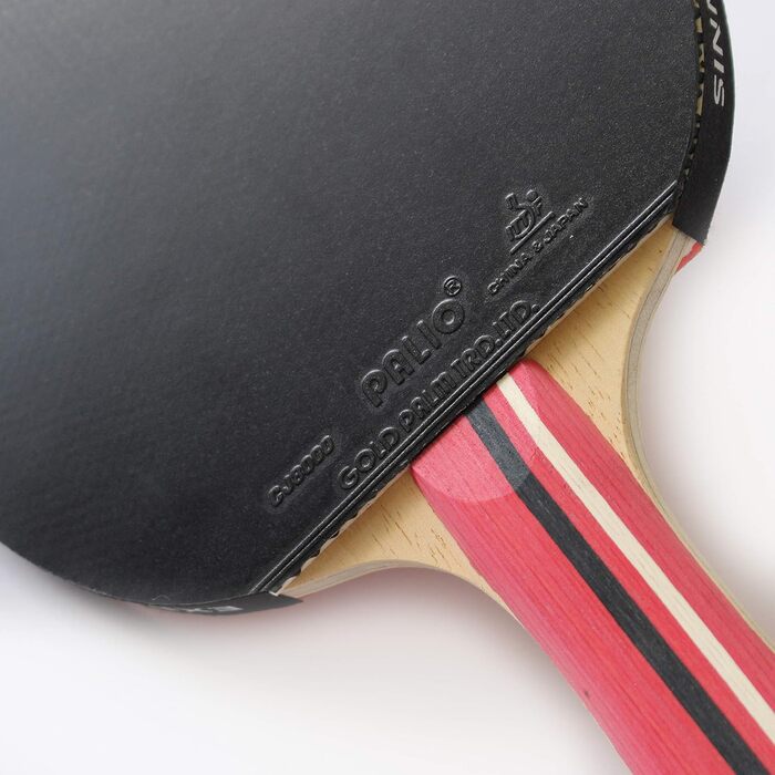 Ракетка для настільного тенісу Palio Master 3.0 з кейсом | ITTF, для просунутих гравців | Універсальна швидкість, обертання та контроль