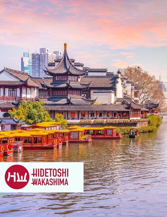 Бейсбольна бита HIDETOSHI WAKASHIMA Tokyo з нержавіючої легованої сталі, 28 дюймів, 980 г, для початківців, аматорів і професіоналів, колір бежевий