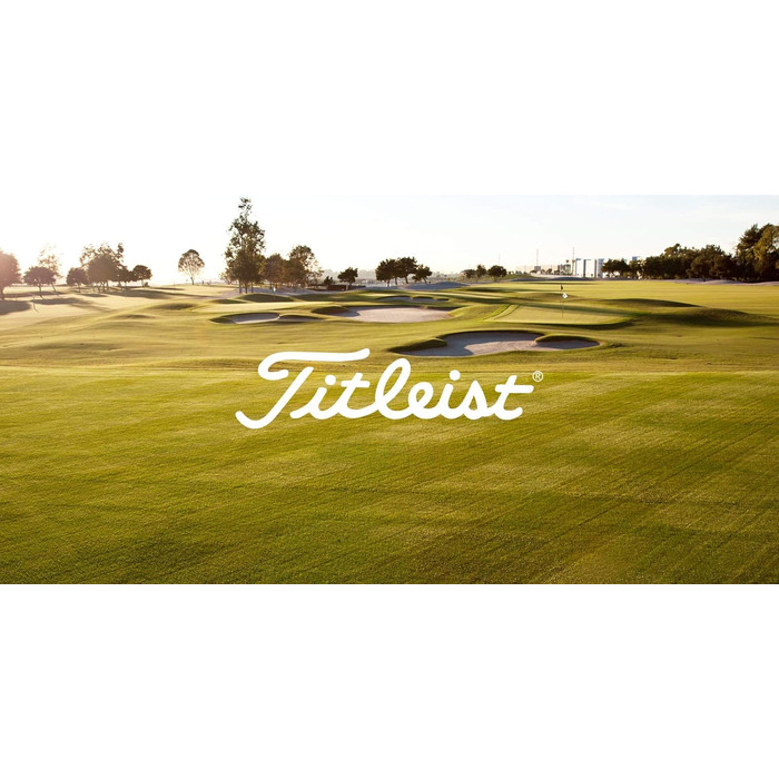 М'ячі для гольфу TITLEIST Pro V1 2019, набір 3 шт., нові