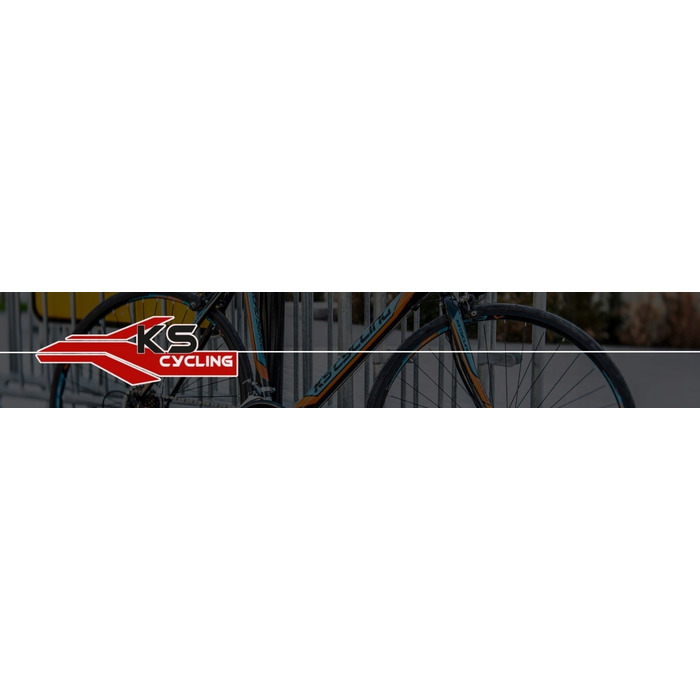 Велосипед BMX KS Cycling Rise, рама 20