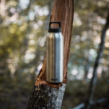 Термос пляшка SIGG Hot & Cold 0.5 л, ізольована, нержавіюча сталь, без BPA, герметична