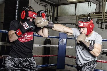 Боксерські рукавички PAFFEN SPORT Allround DRYHAND для тренувань