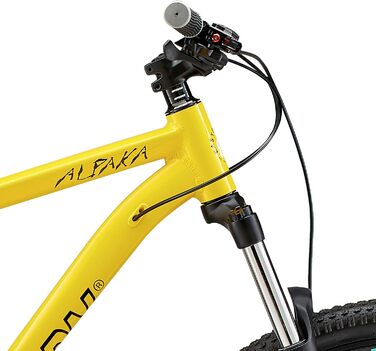 Гірський велосипед Eastern Bikes Alpaka 29
