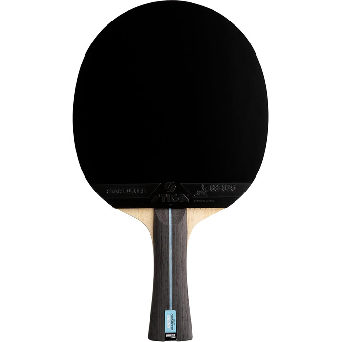 Тенісний стіл STIGA Banda von Allround Future System Master Classic - готовий до гри