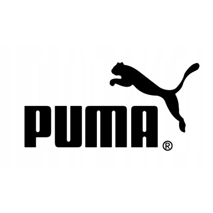 Чоловічі спортивні кросівки Puma Disperse XT2 для тренувань 379985 03, р. 42