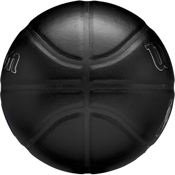 Баскетбольний м'яч Wilson NBA Team Premiere Detroit Pistons, розмір 7 (29.5
