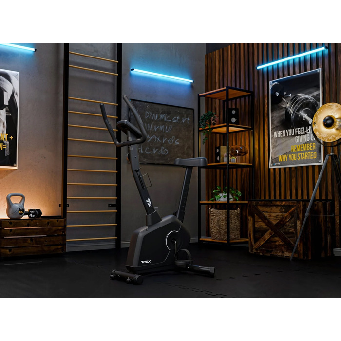 Вертикальний магнітний велотренажер Trex Sport TX-380MB RIGON, чорний