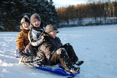 Скі-Боб Alpen Double Race ROT - двомісний, 114x55x28 см