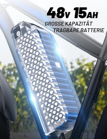 Електровелосипед ONESPORT DUOTTS C29 для дорослих, гірський e-bike з знімним акумулятором 48V 15Ah, мотор 250W, 21 швидкість, LCD-дисплей, для чоловіків і жінок