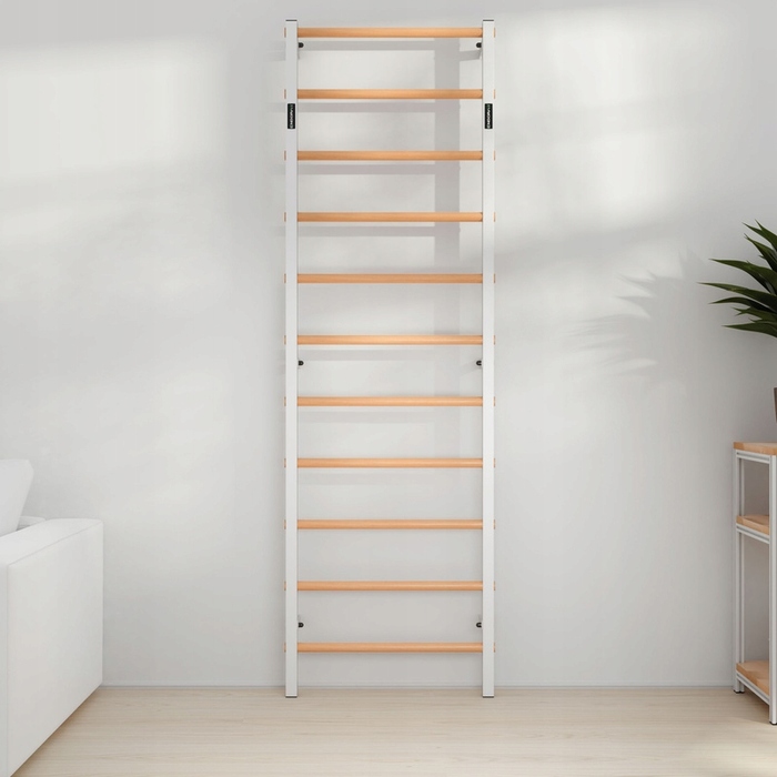 Тренувальна драбинка Endorfit, 240 см x 75 см