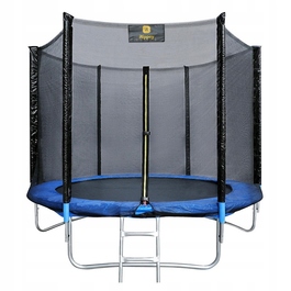 Батут із сіткою Rippey 305 см FT 10 (304-312 см)
