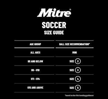 М'яч для футболу Mitre Impel Evo 5 білий