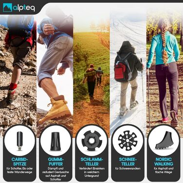 Тrekking-стійки Alpteq®: карбонові або алюмінієві, з пробковим руків'ям | Для гірського туризму, Nordic Walking | Легкі, телескопічні, 110-130 см | Blue Teal