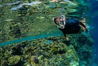 Повнолицьева маска для снорклінгу OCEAN REEF Aria QR з трубкою, біла (L/XL) - панорамний огляд 180°
