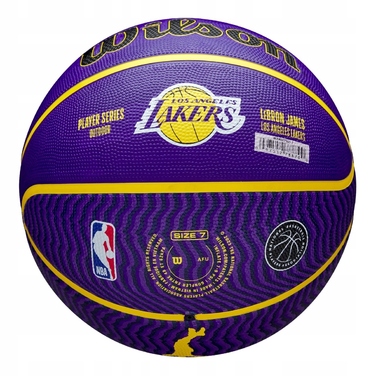 Баскетбольний м'яч Wilson WZ4027601XB, розмір 7