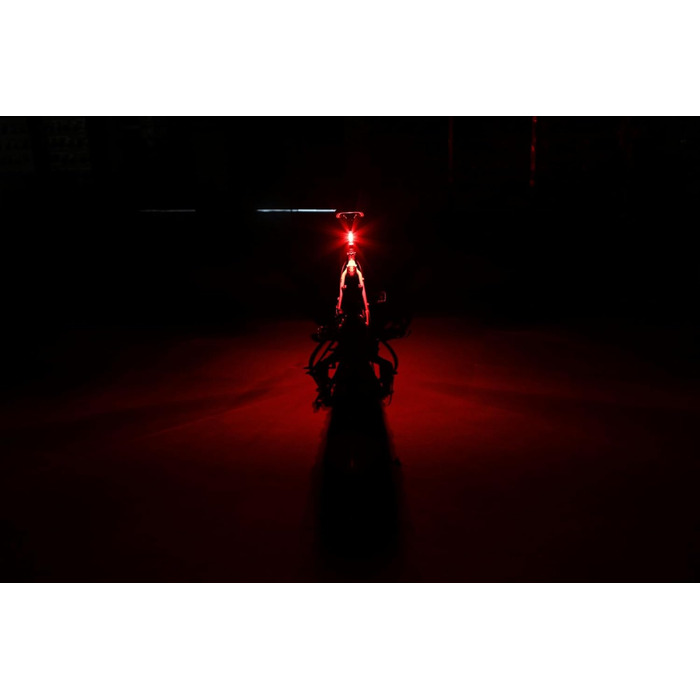 LED акумуляторний задній ліхтар Fischer Stableuchte для велосипеда, зарядний, IPX4, чорний, TWIN (акумуляторний ліхтар + TWIN STOP)