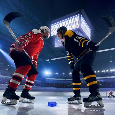 Керлінг-диски Zealor (різнокольорові, 30 шт.)