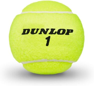 Тенісні м'ячі Dunlop ATP Championship 6x3 (US), банка