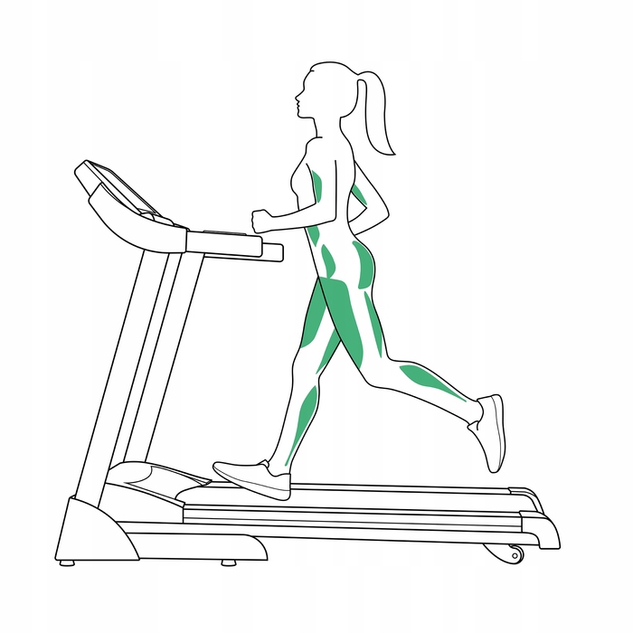 Електрична бігова доріжка Urbogym V520S (до 130 кг)