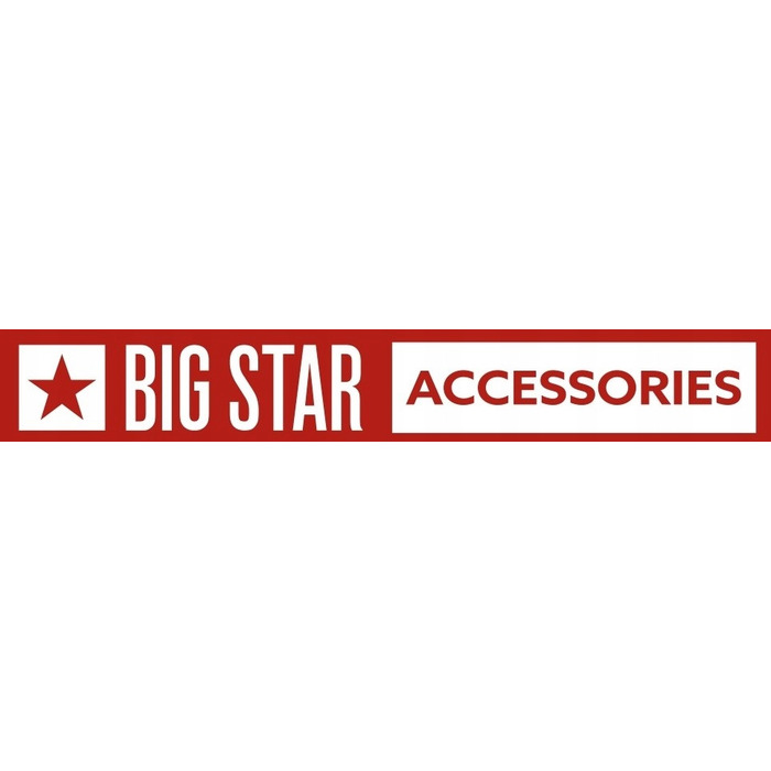 Жіночі кросівки BIG STAR NN274509 - 40