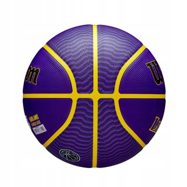 Баскетбольний м'яч Wilson WZ4027601XB, розмір 7