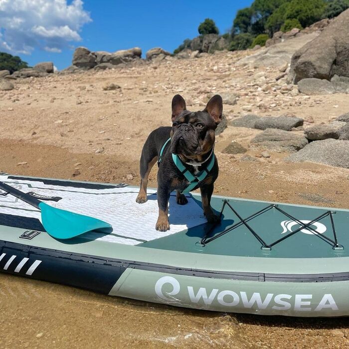 Надувна SUP-дошка WOWSEA для туризму та відпочинку, міцна та стабільна, з фібергласовим веслом, насосом та аксесуарами