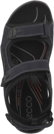 Сандалі чоловічі ECCO Offroad Andes 2 (50 EU, сині) - трекінгові, шкіряні