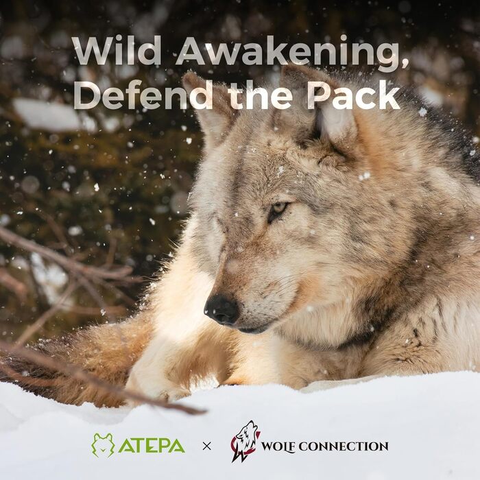 Спальний мішок ATEPA Ultraleicht Daunenschlafsack: Легкий, 3-сезонний (12°C/6°C/-1°C), Водовідштовхуючий, для кемпінгу, трекінгу та подорожей, з компресійним мішком