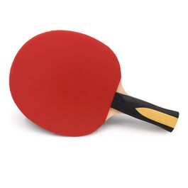 Ракетка для настільного тенісу Sunflex Expert A30 ITTF сертифікована, багатоколір