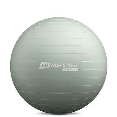 Фітбол Hop-Sport 65см шавлієвий + насос