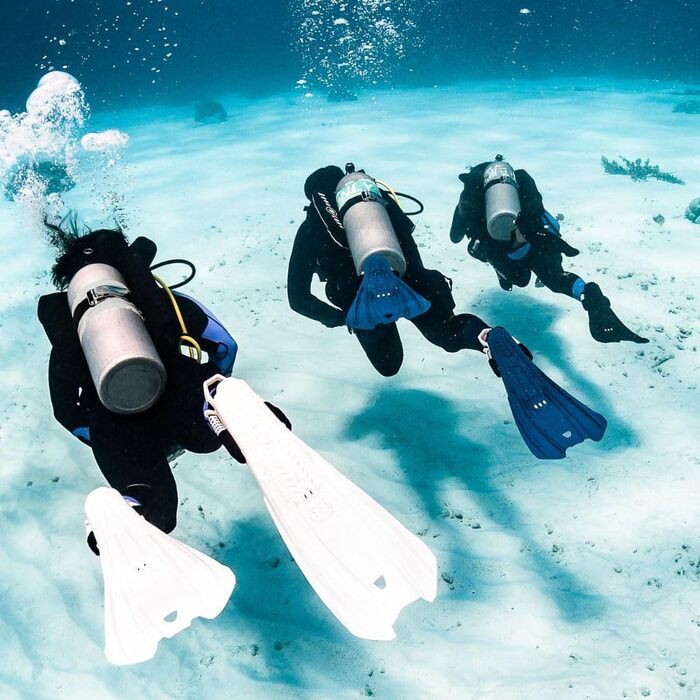Ласти Aqua Lung STORM для дорослих – легкі універсальні ласти для дайвінгу та снорклінгу, міцний мономатеріал, підходять для подорожей