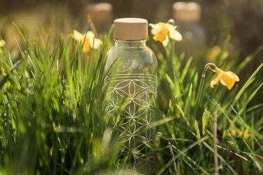 Скляна пляшка для води Carrybottles Elephant 0,7 л, спортивна, BPA-free, герметична, для газованих напоїв, зроблено в Німеччині