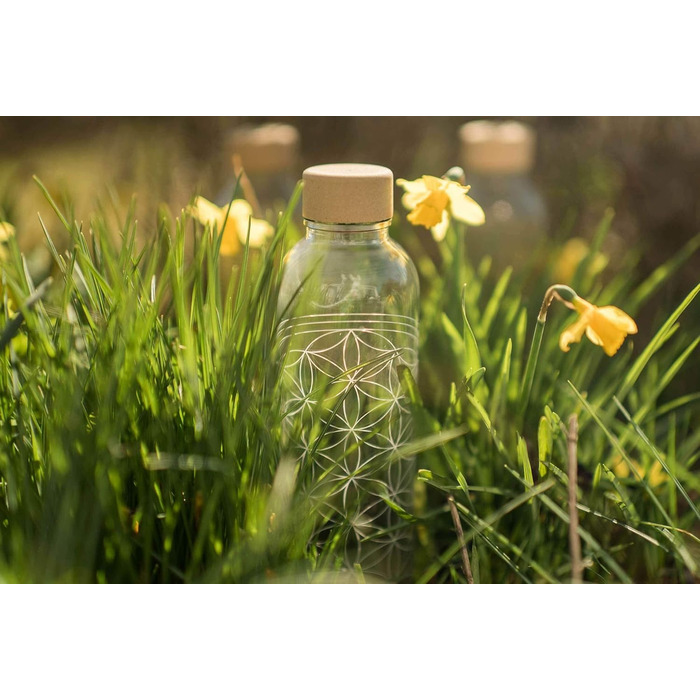 Скляна пляшка для води Carrybottles Elephant 0,7 л, спортивна, BPA-free, герметична, для газованих напоїв, зроблено в Німеччині