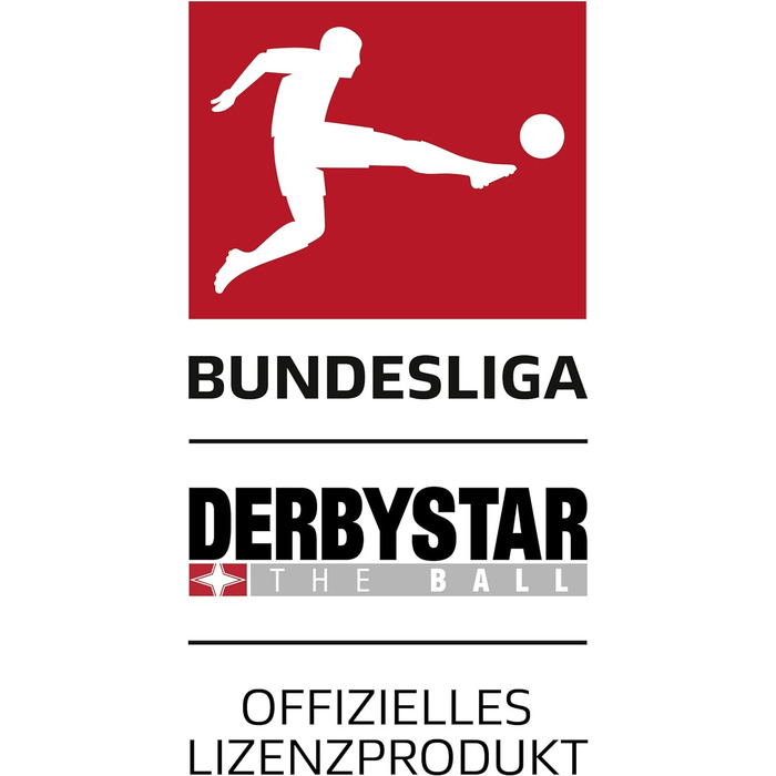 Футбольний м'яч Derbystar Bundesliga Player Special розмір 6