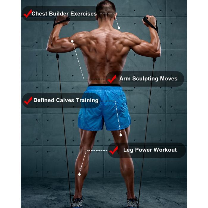 Набір фітнес-гумок 6 шт., гумки для фітнесу з 6 рівнями опору 270 LBS, з дверними фіксаторами, ручками, кісточками, ідеально підходить для нарощування м'язів, пілатесу, фізіотерапії для домашнього спортзалу та тренувань на відкритому повітрі