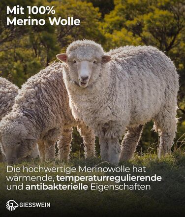 Чоловічі водонепроникні трекінгові черевики Giesswein Wool Cross X Alpine - зручні та теплі, з 100% мериносової вовни, для хайкінгу та походів, чорний колір, 45 EU