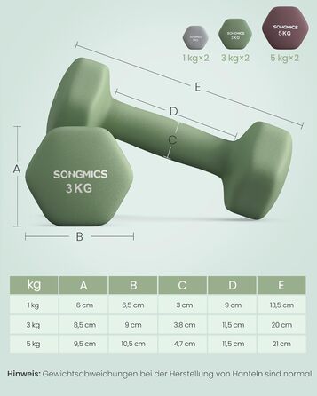 Набір шестигранних гантелей SONGMICS з підставкою, неопренове покриття, 2x1кг, 2x3кг, 2x5кг, для силових тренувань вдома (сірий, зелений, червоний)