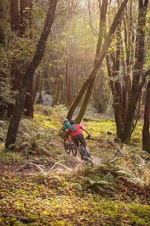Гідраторний рюкзак CAMELBAK Rogue Light для дорослих, алюмінієвий/чорний, універсальний розмір