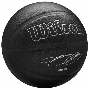 Баскетбольний м'яч Wilson NBA Player Evergreen Lebron WZ4026801XB роз. 7