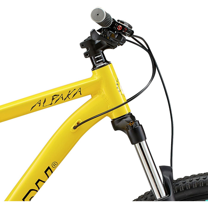 Гірський велосипед Eastern Bikes Alpaka 29