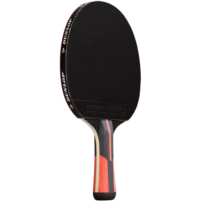 Тенісна ракетка Dunlop BT Evolution 3000 для дорослих