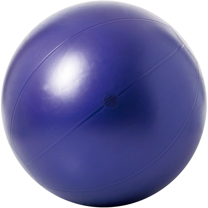Гімнастичний м'яч TOGU Theragym Ball ABS для фітнесу та реабілітації